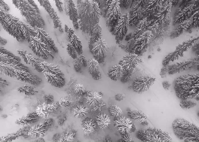 Chic & Champetre Au Coeur Du Haut-Jura